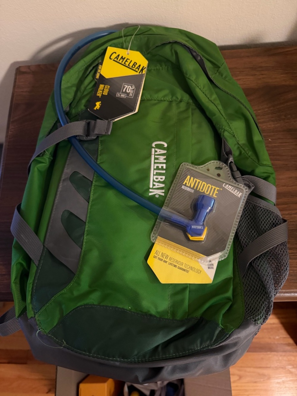 CamelBak Cloud Walker Backpack